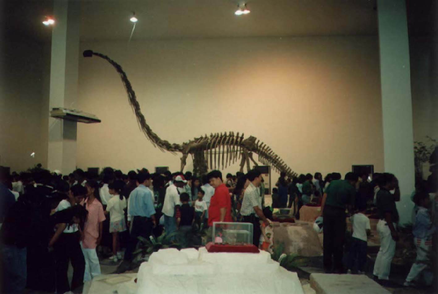 曼谷展.jpg