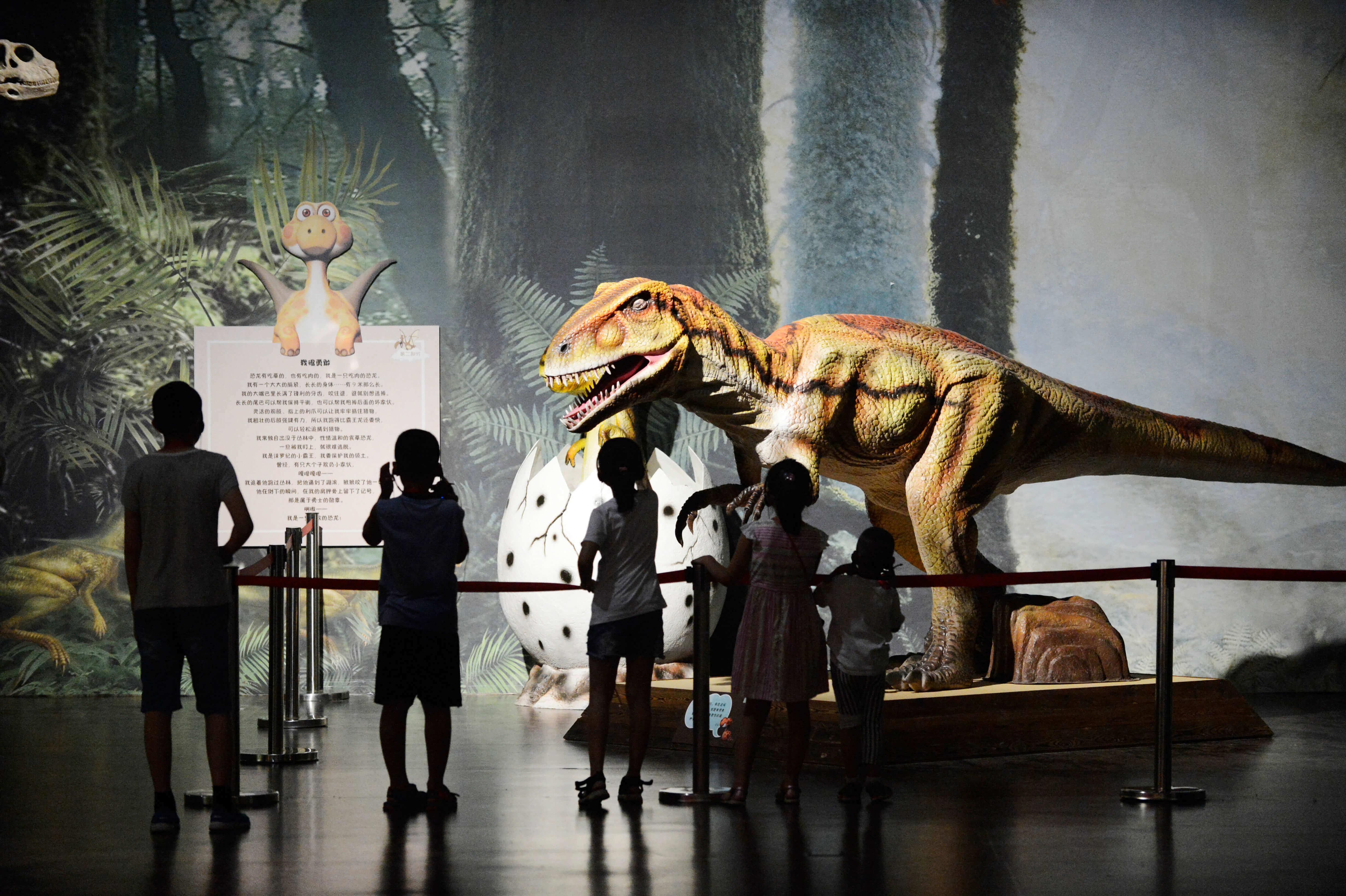 新华视点｜亚洲最大的完整恐龙化石亮相成都自然博物馆