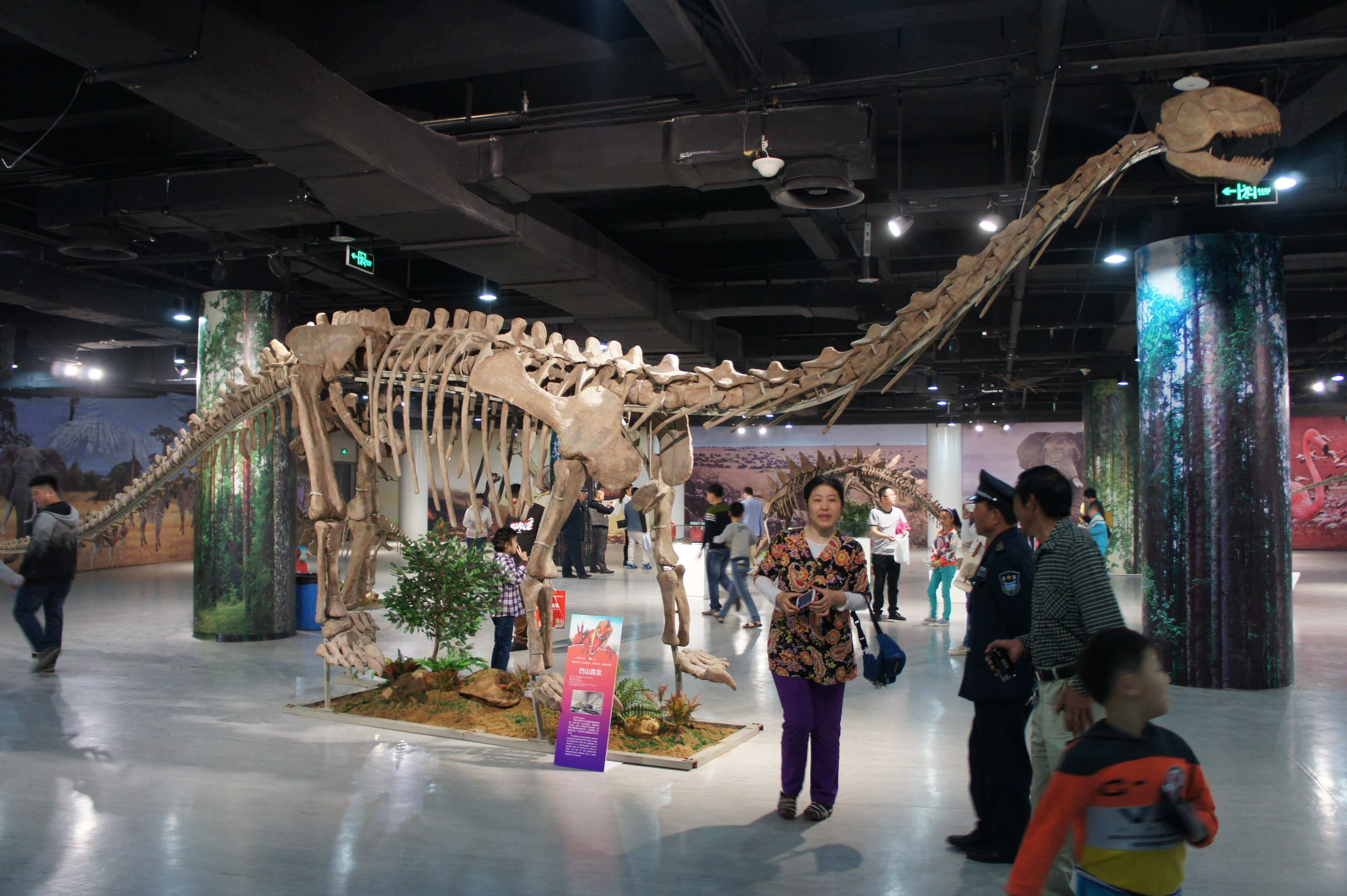 自贡恐龙博物馆-2014北京展览馆