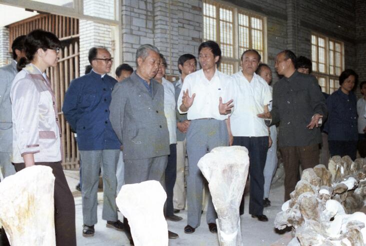 1邓.jpg