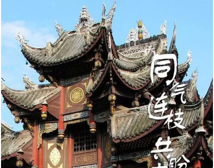 自贡网4.png