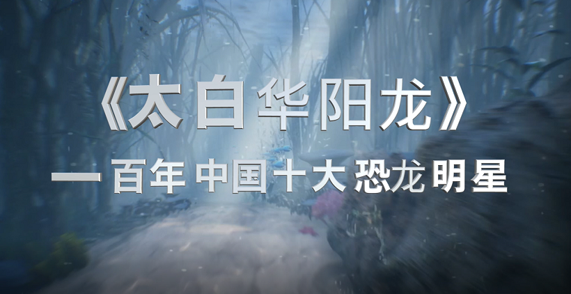 张琪，史梓蔚，周辉《太白华阳龙》（视频类）.png