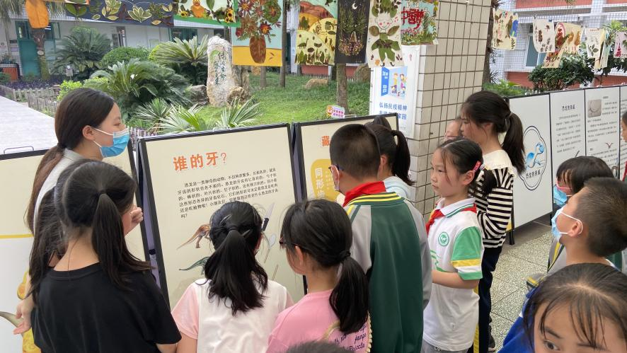 图片8.png