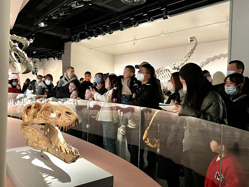 图片8.png