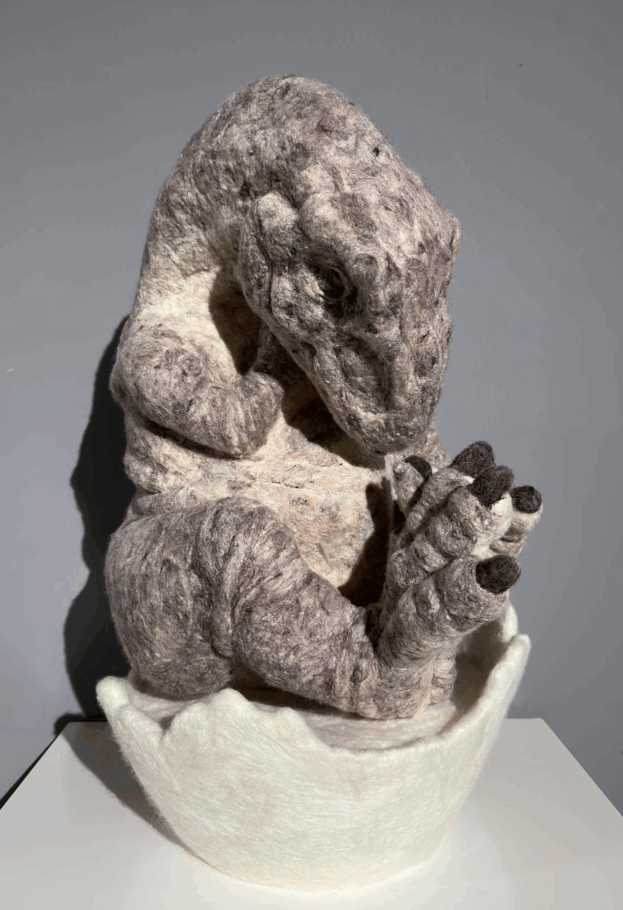 一等奖 唐梦露.png