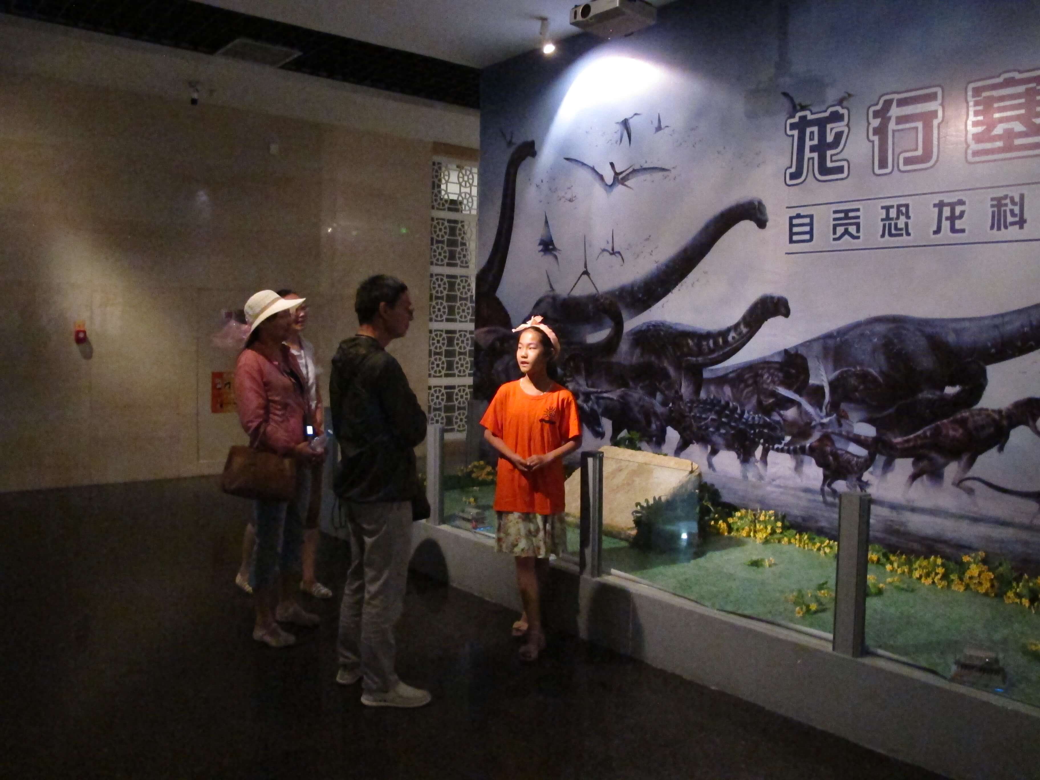 自贡恐龙博物馆-2015宁夏博物馆